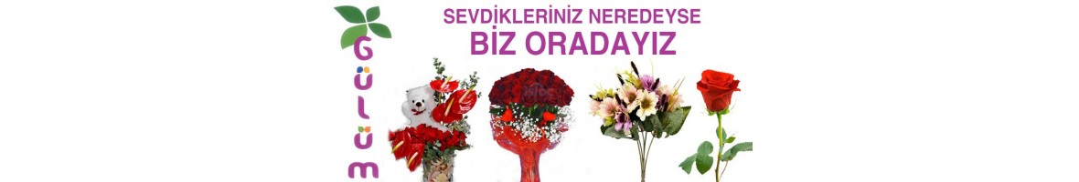 anneye-cicek