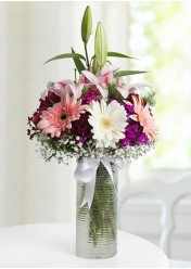  vazoda kazablanka gerbera Rüzgarı