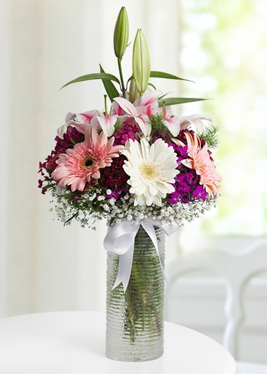  vazoda kazablanka gerbera Rüzgarı